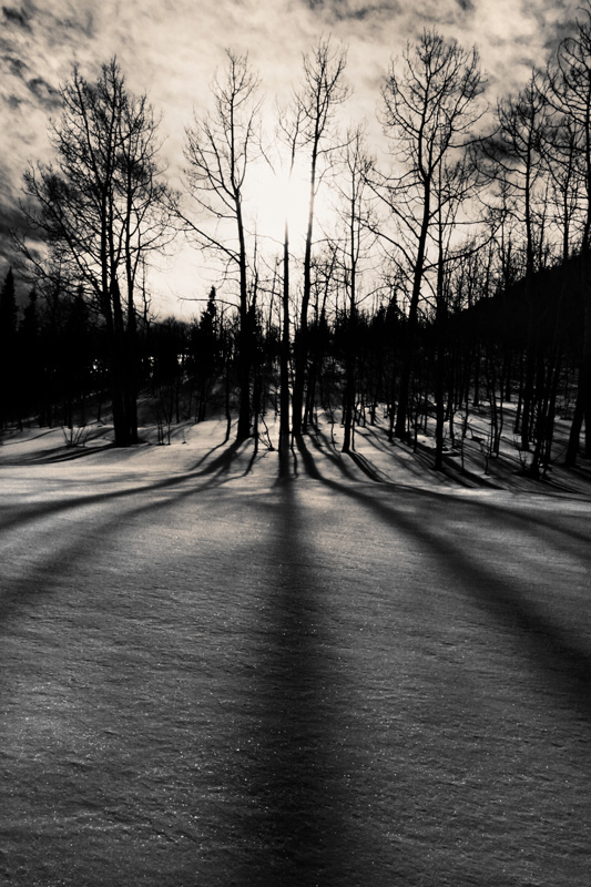 winter_shadows_by_kariannphotography